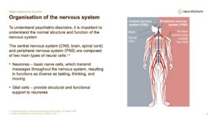 Major Depressive Disorder – Neurobiology and Aetiology – slide 3